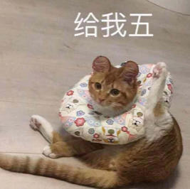 小啊啵的馨匠