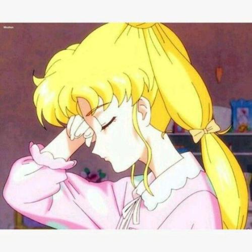 蔷薇少女Rosa