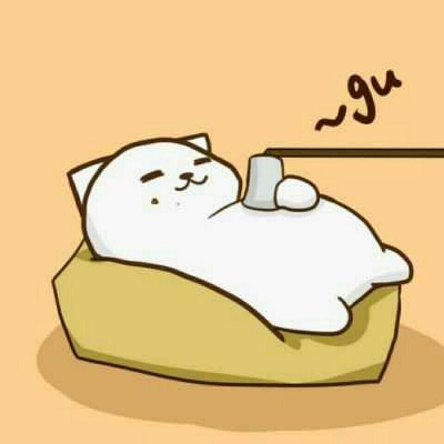 速度的心跳见证你的美Audi