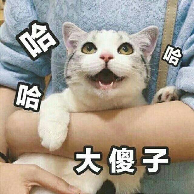 骸骷瑟