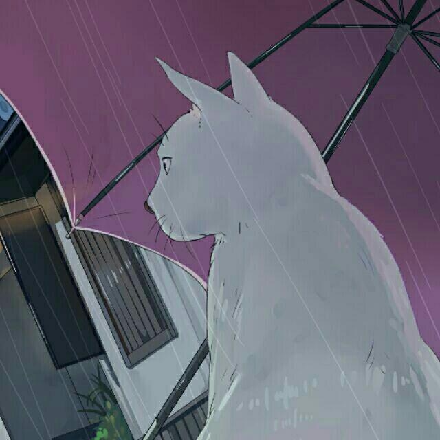 晴天，雨天，星期天