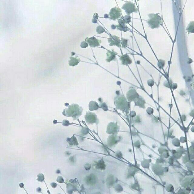 浮云1993