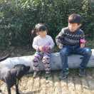 小米饭
