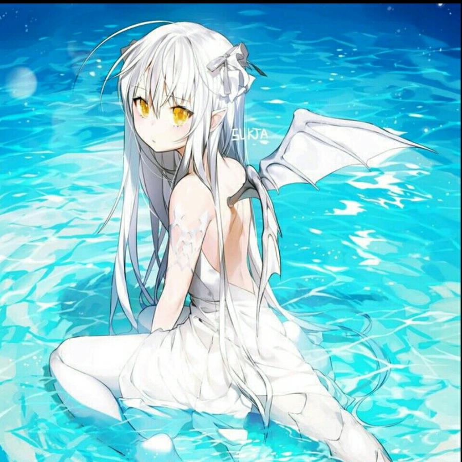 鹿鹿cku