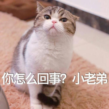 dd24860754