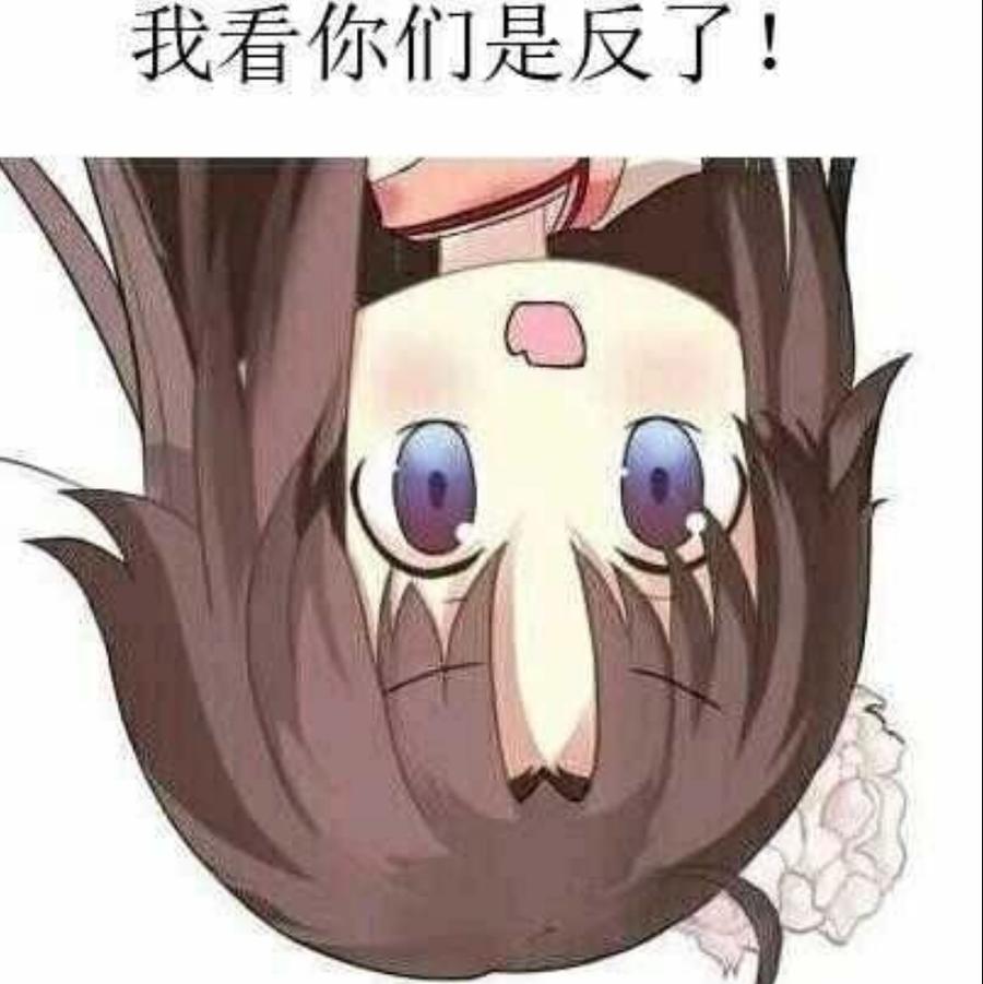逆风笑不了情