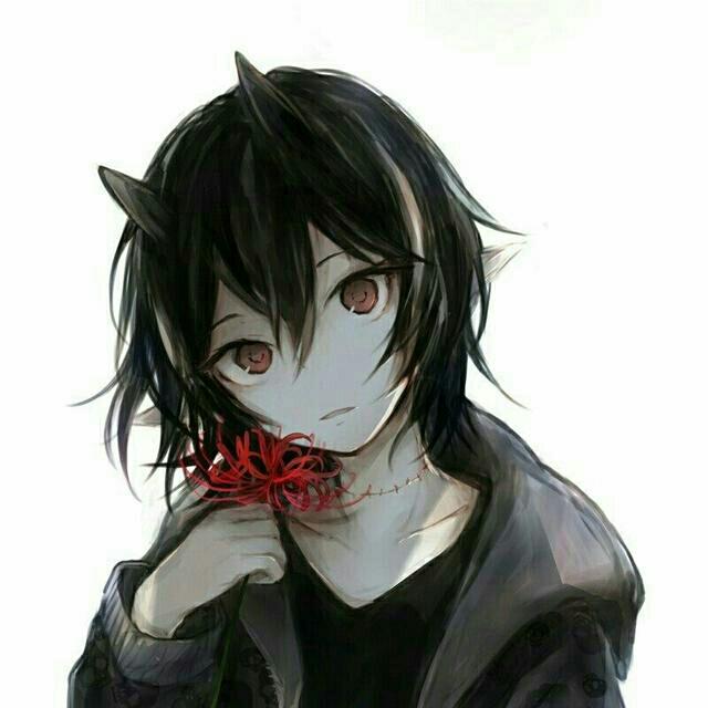 鱼的第八秒~