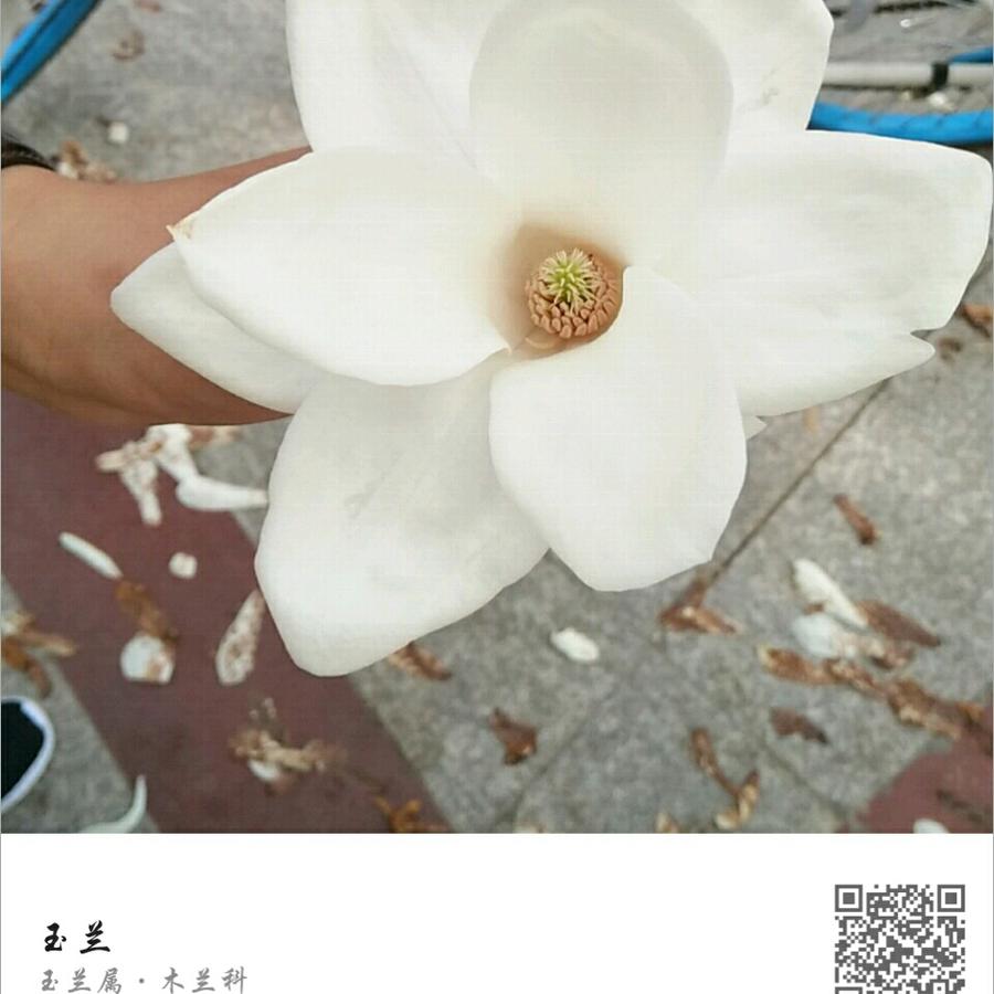 有始无终.m2k