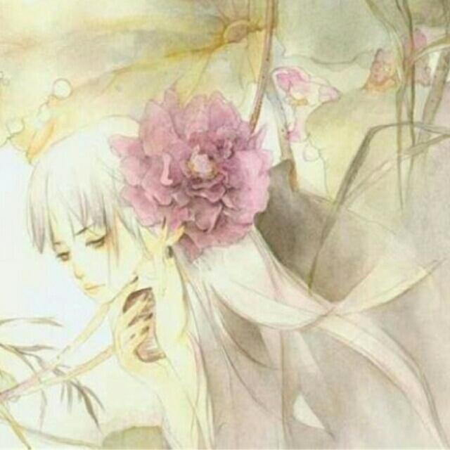 虹的彼岸