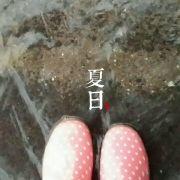 小胖Y的我