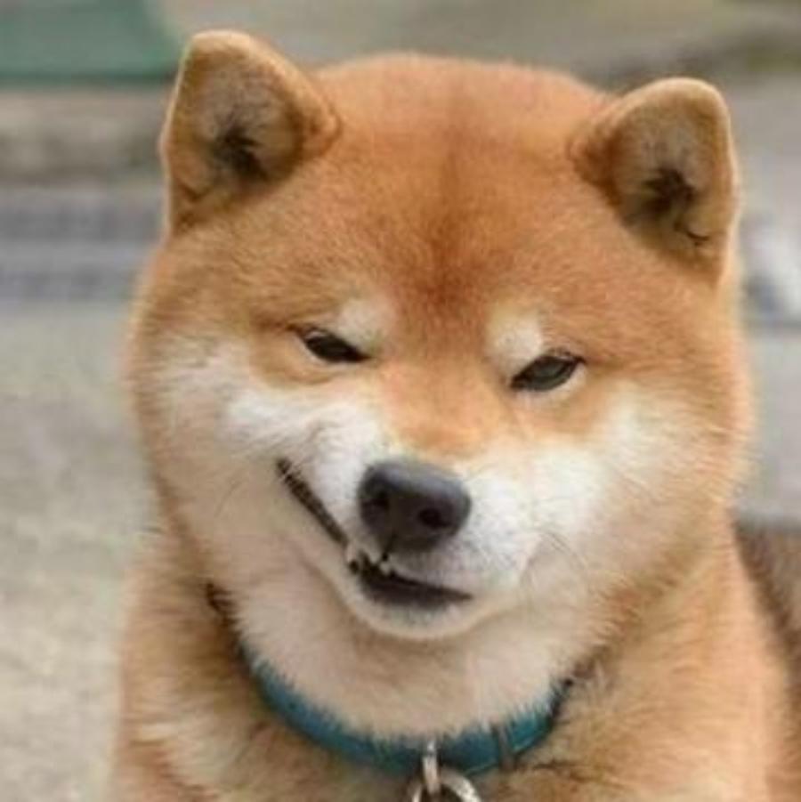 雄鹿咚咚冲撞胸口