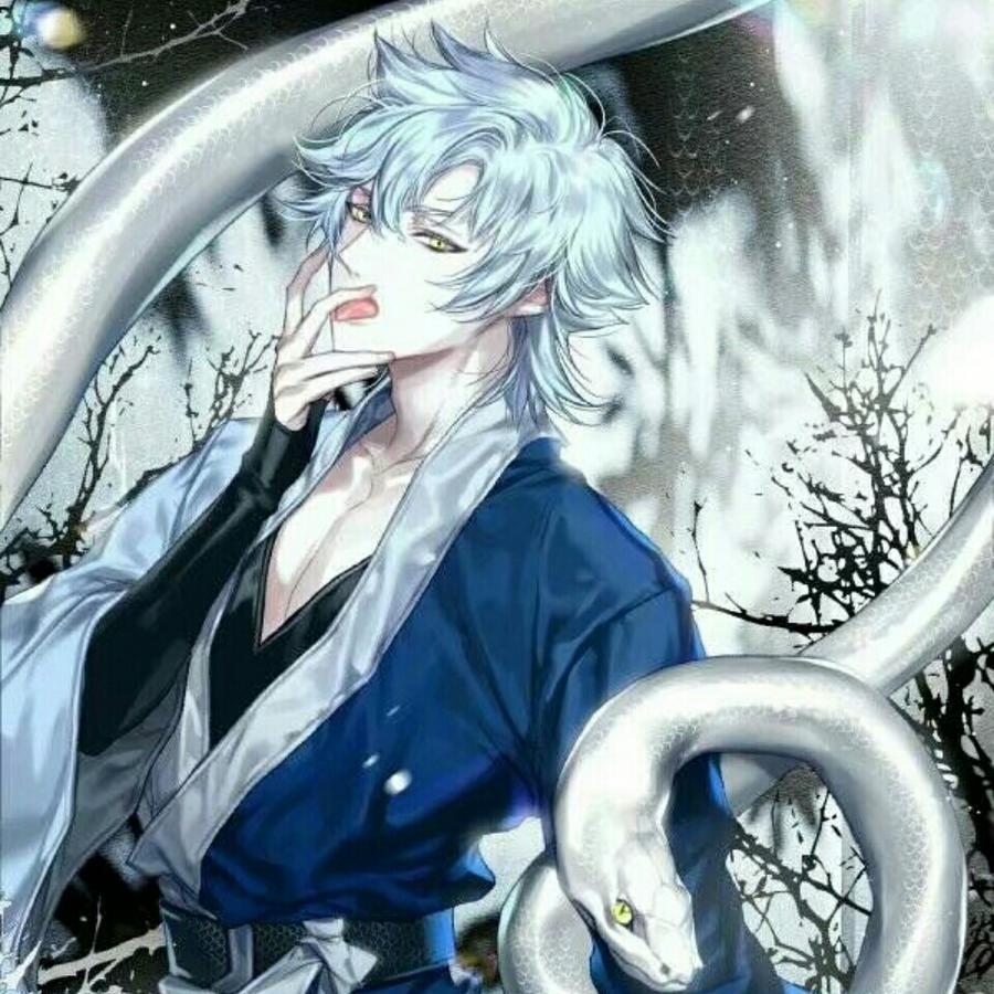 一只不努力的猪