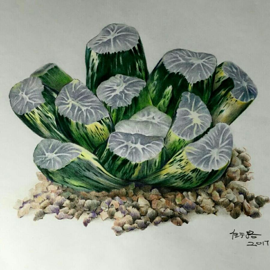 冶心家
