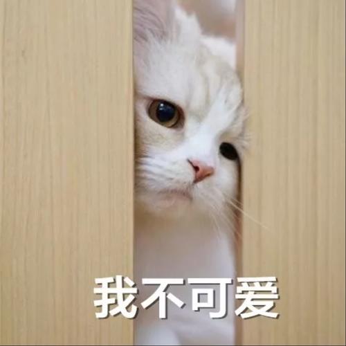 逍遥君十六🍒