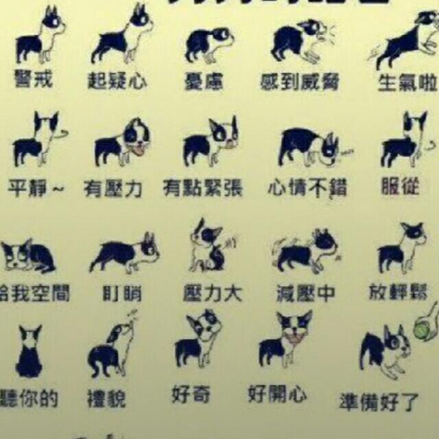 _________玖年*5iz