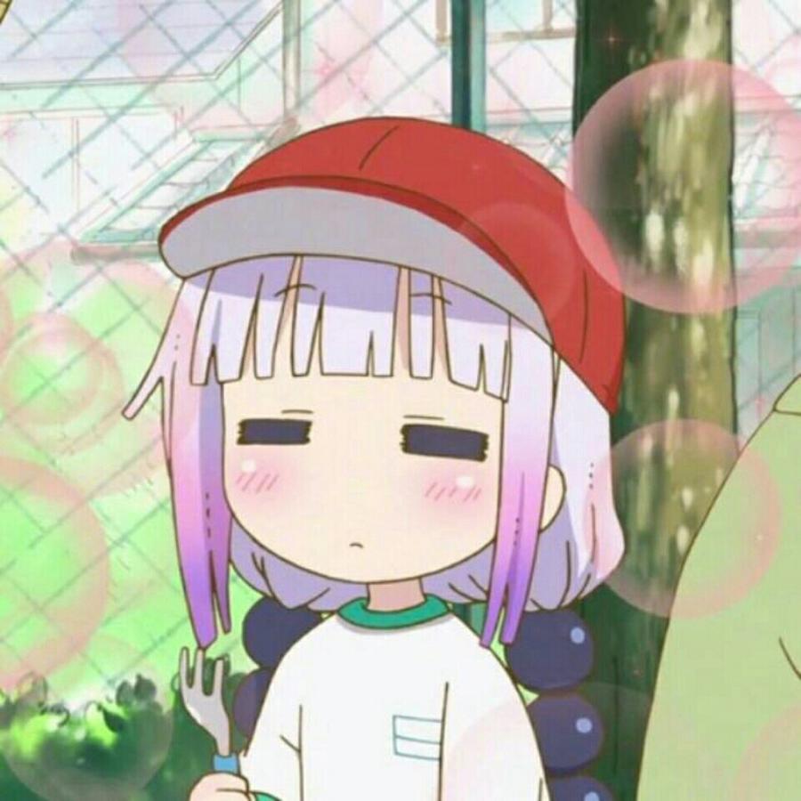 灰颉
