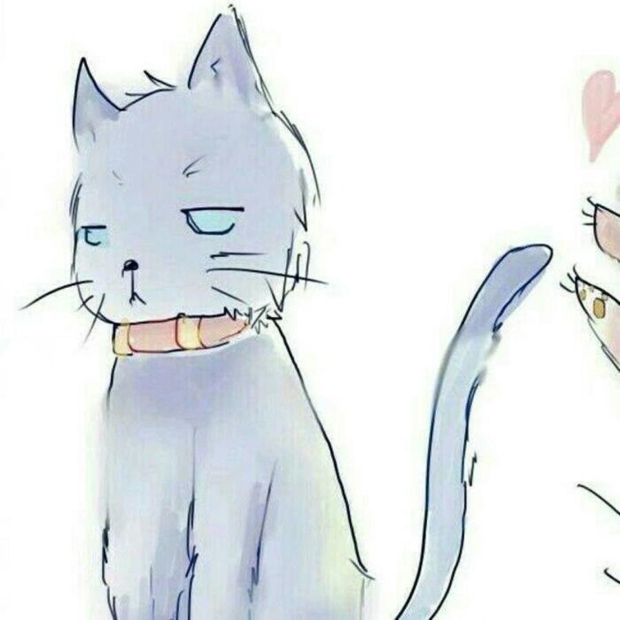 三野桥下的猫