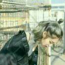 喵~9sy