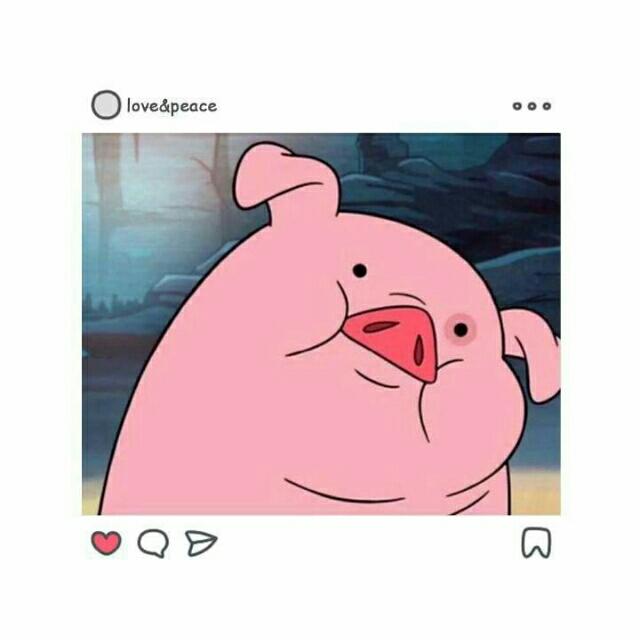 十二.乖