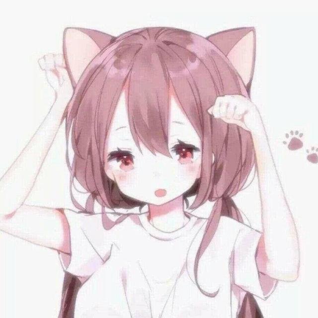 玖染很guai♡傻豆