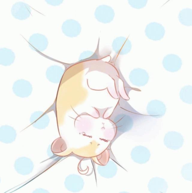 夏柠喵喵