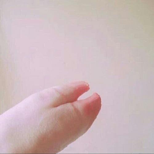 🎋……………