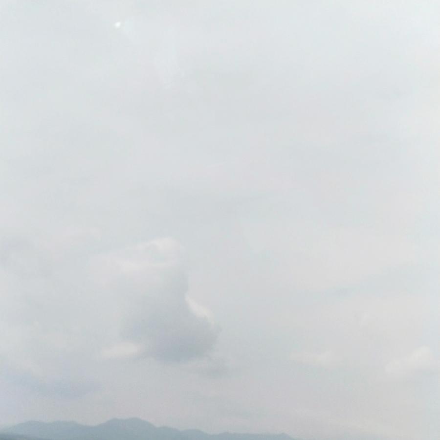 南樱🌸吾笙