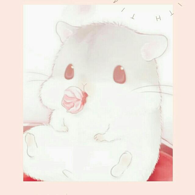 雪绘