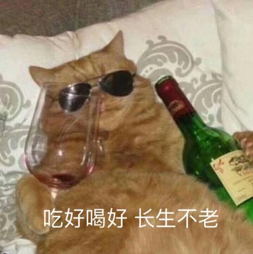 没有梦想的渣渣咸鱼