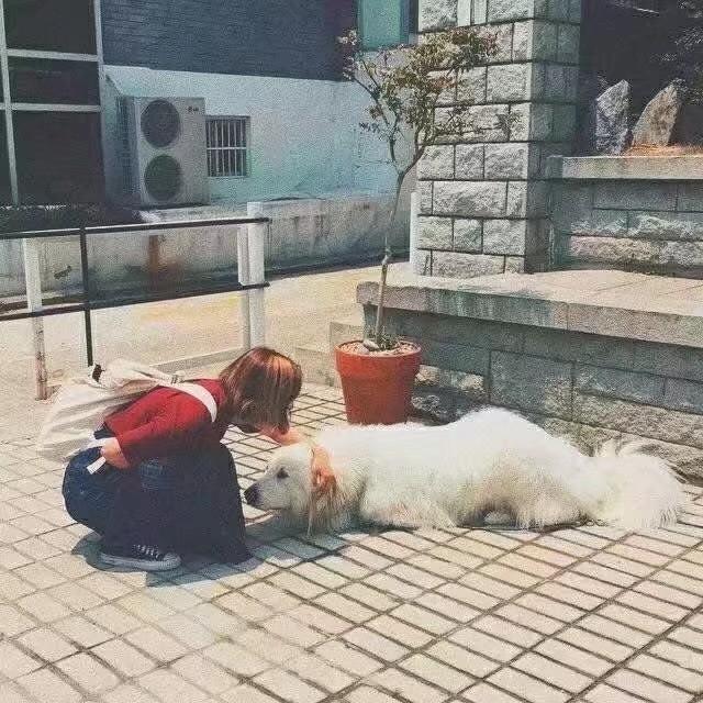 是砚.
