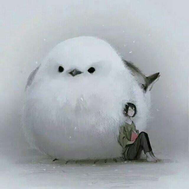 小夏LR