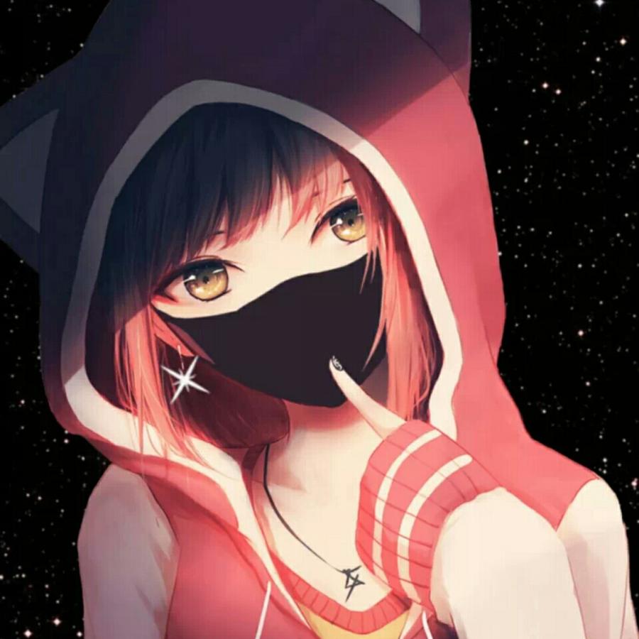 不才2ip