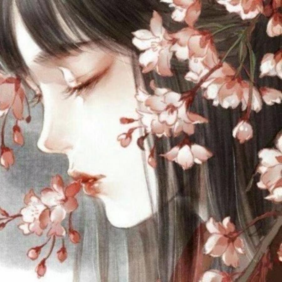 肖遥肖弋