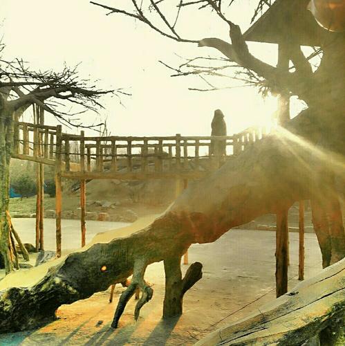 灯塔_Lara
