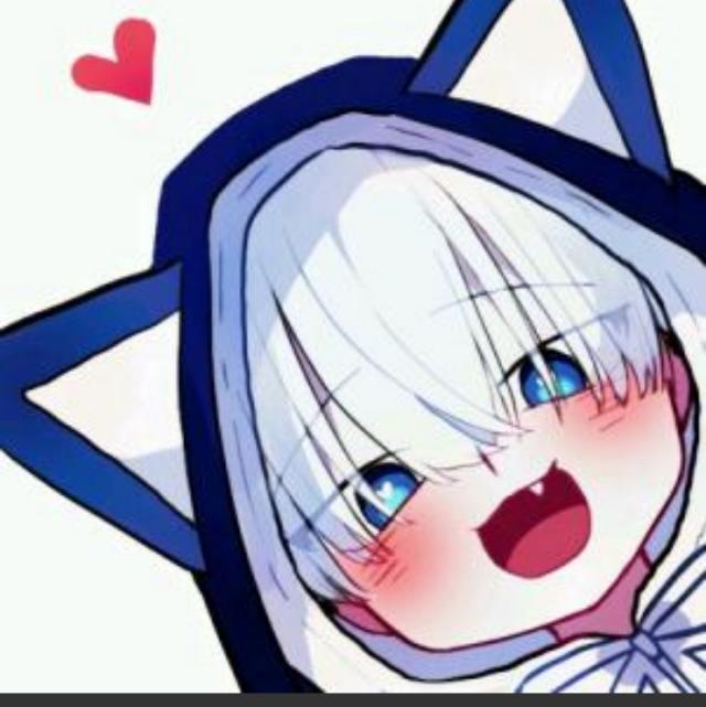 白家小虎子