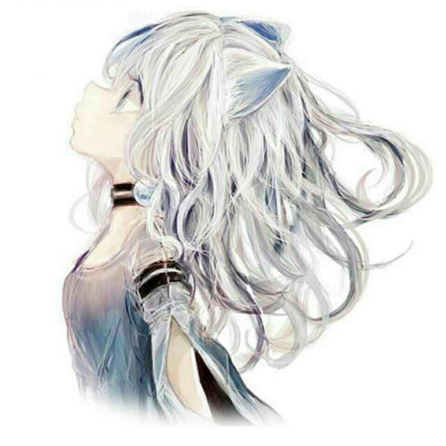 缘曦洛离