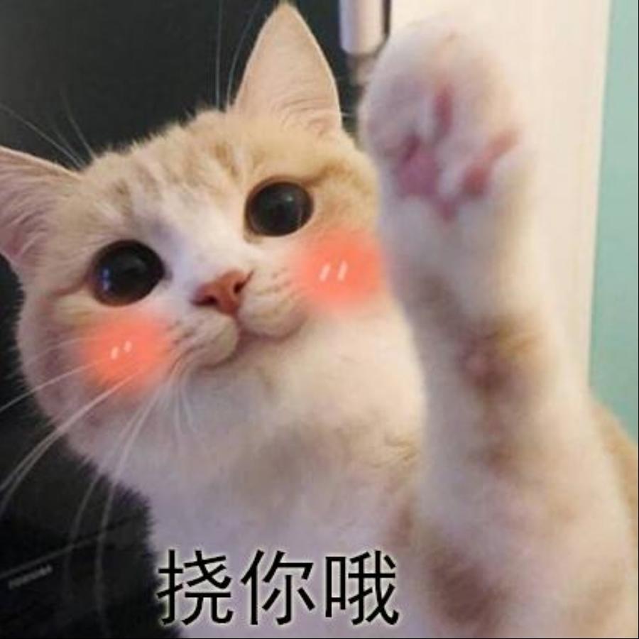 懂你哦！