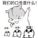 朱振宇qip