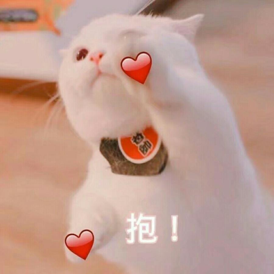 梦柠망고거르다梦魇