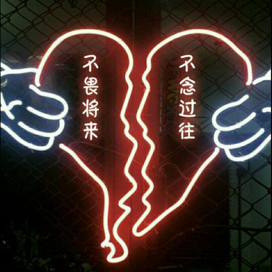 野狗x