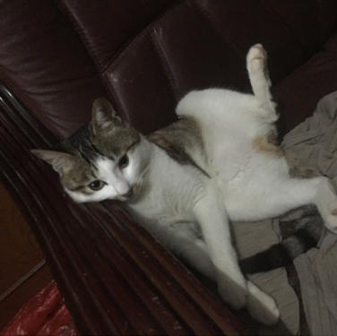 -不打擾、不觸碰^