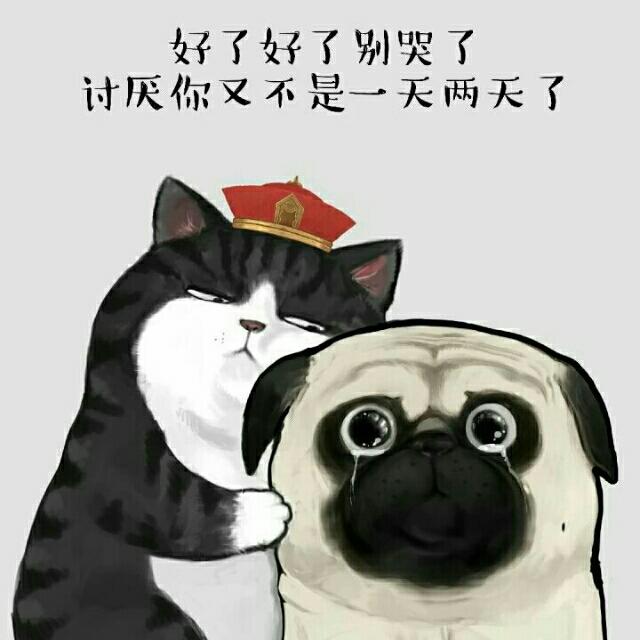 嘿~少女♡☆✿