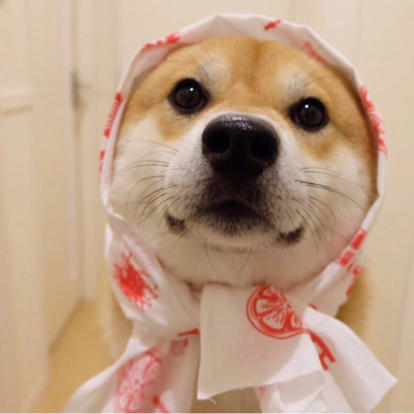 一口菠萝啤