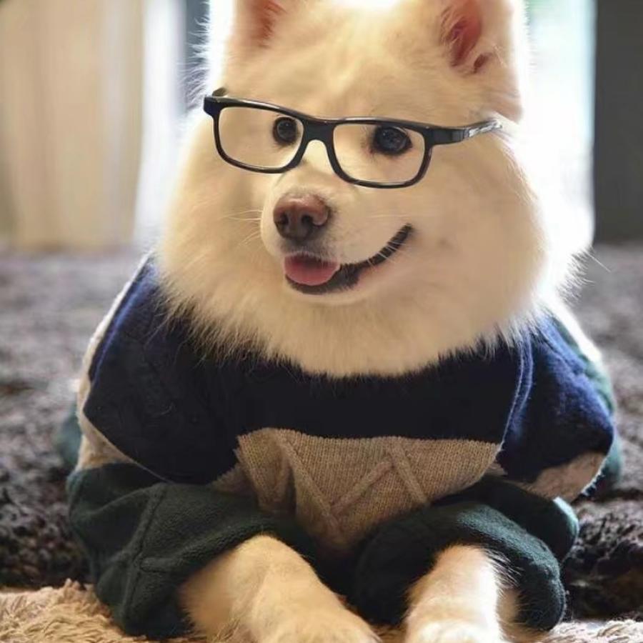 苍墨弦