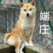 潇洒公子哥00