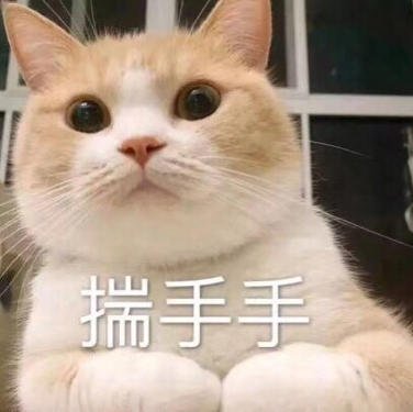 奔跑的五花皮皮💃🏼