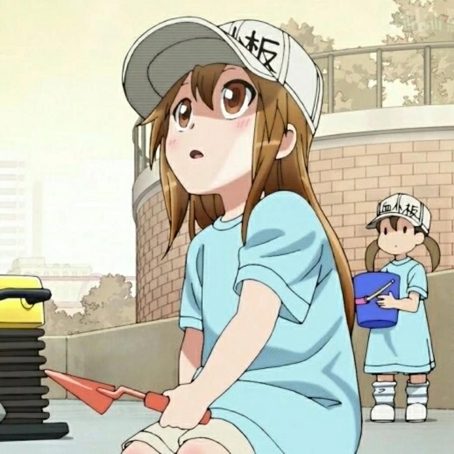 ✘催催