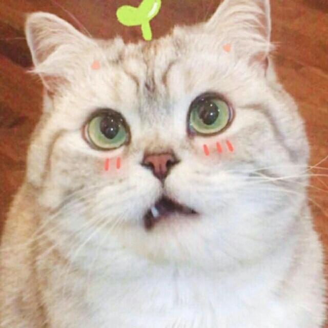 混世魔王jiv
