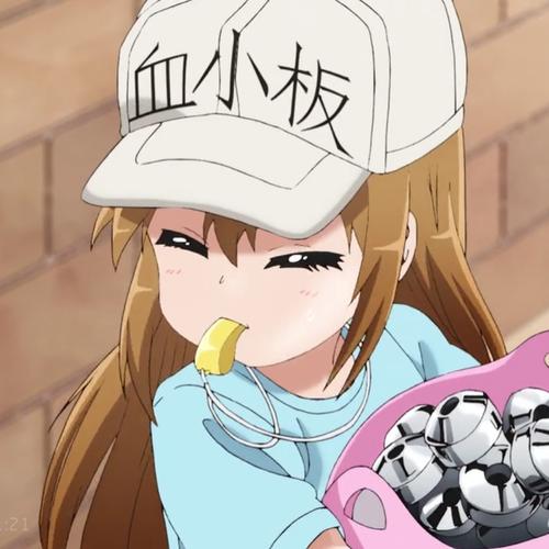 喵✔酱