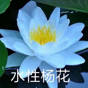潇潇万受无疆